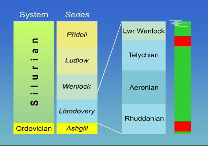 biostratigraphy